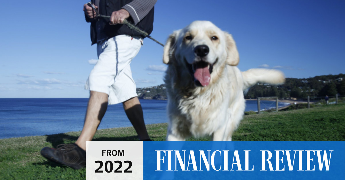 Mad Paws acquires Pet Chemist, kicks off raising